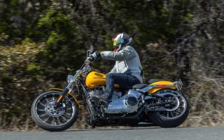 2025 Harley-Davidson Cruiser Lineup Review